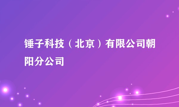 锤子科技(北京)有限公司朝阳分公司