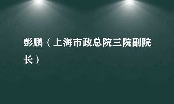 彭鹏(上海市政总院三院副院长)