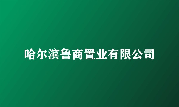 哈尔滨鲁商置业有限公司