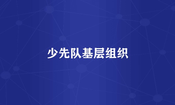 少先队基层组织