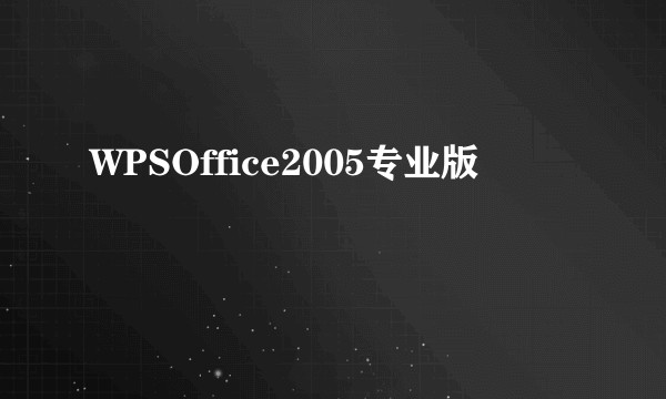 WPSOffice2005专业版