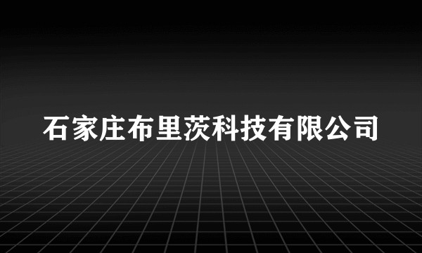 石家庄布里茨科技有限公司