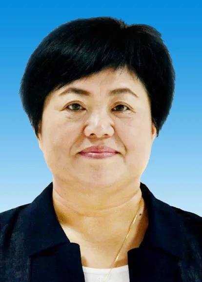 徐平（民建河南省委会副主委，河南进口物资公共保税中心集团有限公司总裁）