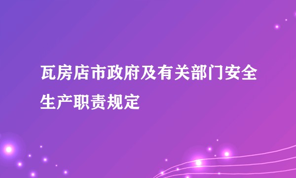 瓦房店市政府及有关部门安全生产职责规定