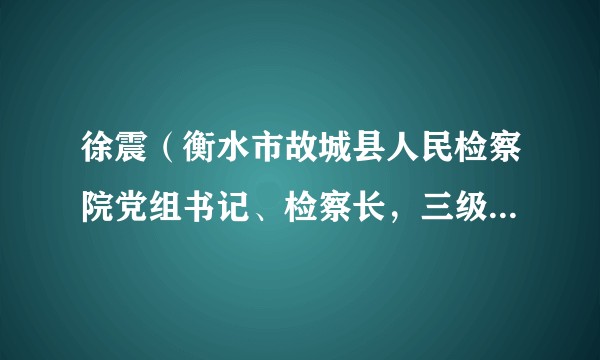 徐震(衡水市故城县人民检察院党组书记、检察长,三级高级检察官)