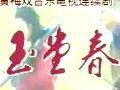 玉堂春(1993年黄梅戏电视剧《玉堂春》)
