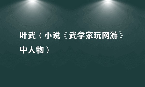 叶武（小说《武学家玩网游》中人物）