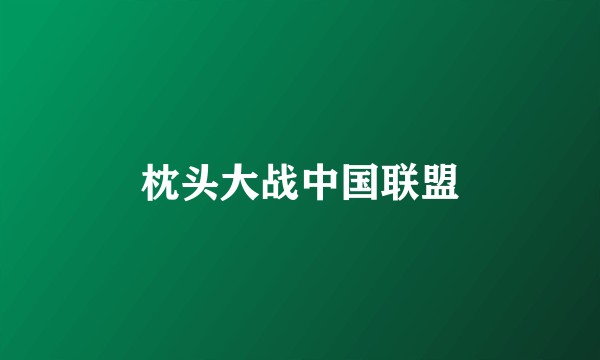 枕头大战中国联盟