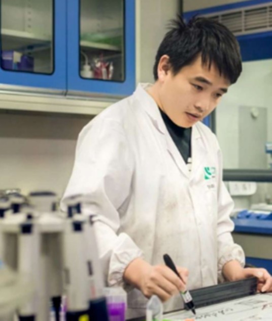 王德辉（电子科技大学基础与前沿研究院教授博士生导师）