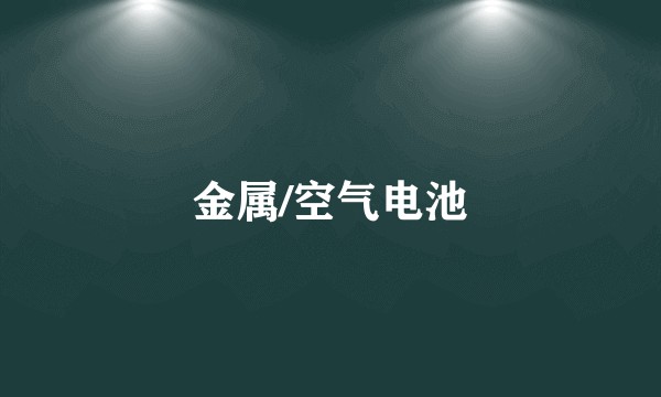 金属/空气电池