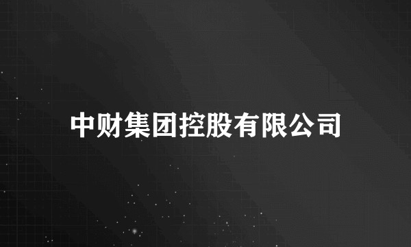 中财集团控股有限公司