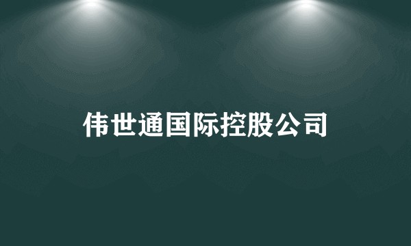 伟世通国际控股公司