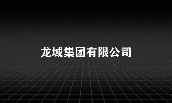 龙域集团有限公司