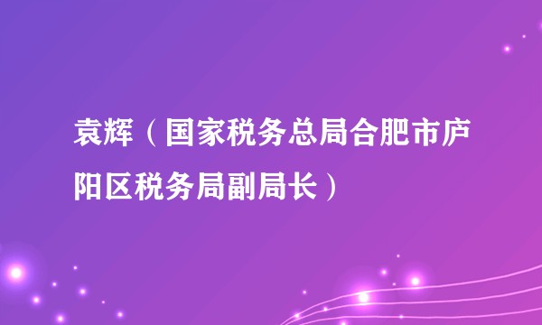 袁辉(国家税务总局合肥市庐阳区税务局副局长)