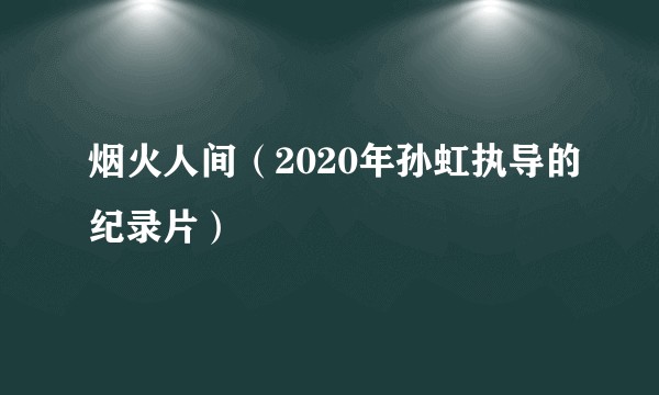 烟火人间(2020年孙虹执导的纪录片)