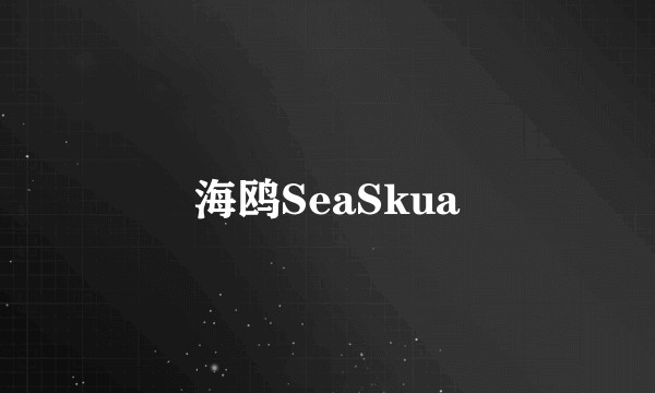 海鸥SeaSkua
