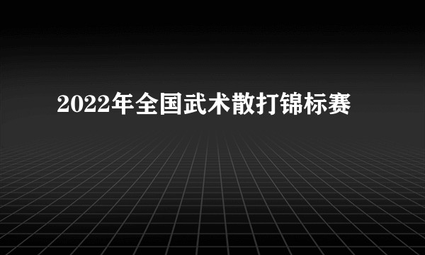 2022年全国武术散打锦标赛