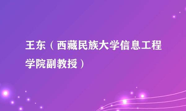 王东(西藏民族大学信息工程学院副教授)