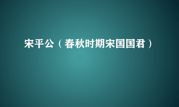 宋平公(春秋时期宋国国君)