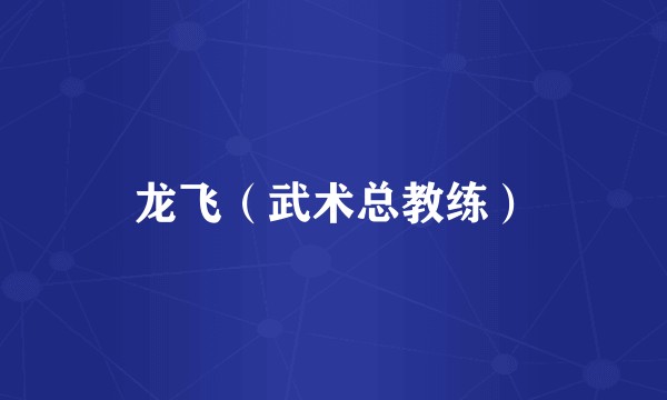 龙飞（武术总教练）