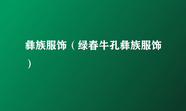 彝族服饰（绿春牛孔彝族服饰）