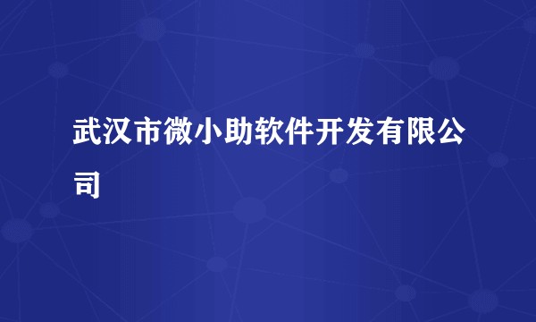 武汉市微小助软件开发有限公司