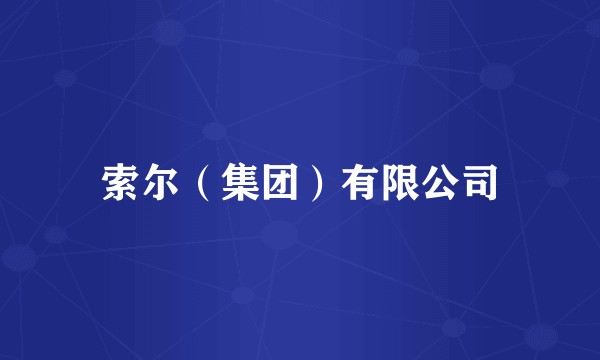 索尔(集团)有限公司