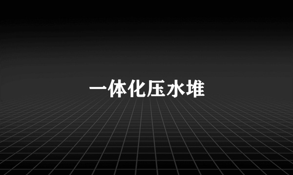 一体化压水堆