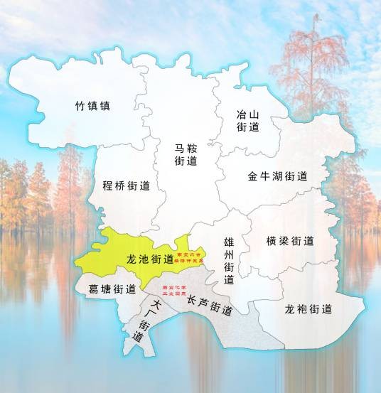龙池街道