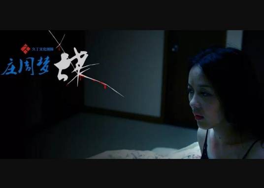庄周梦蝶（2010年高久丁执导微电影）