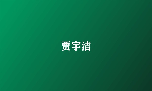 贾宇洁