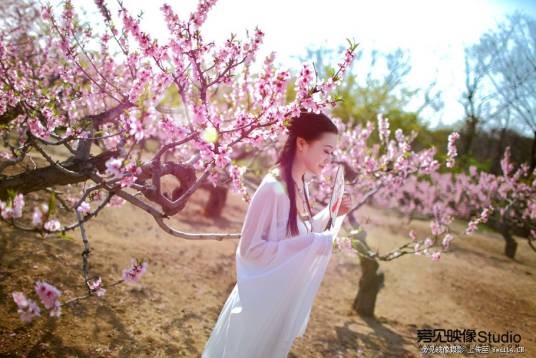人面桃花(连环画版本)