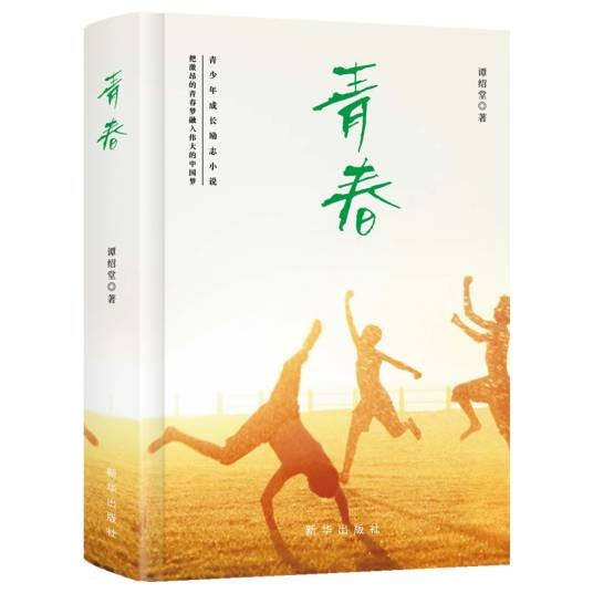 青春(2020年新华出版社出版的图书)