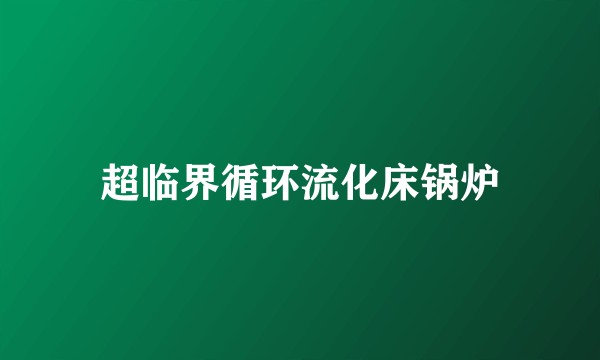 超临界循环流化床锅炉