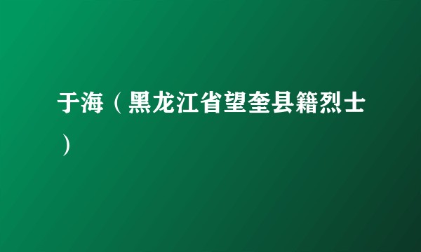 于海（黑龙江省望奎县籍烈士）