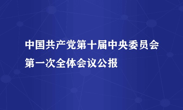 中国共产党第十届中央委员会第一次全体会议公报