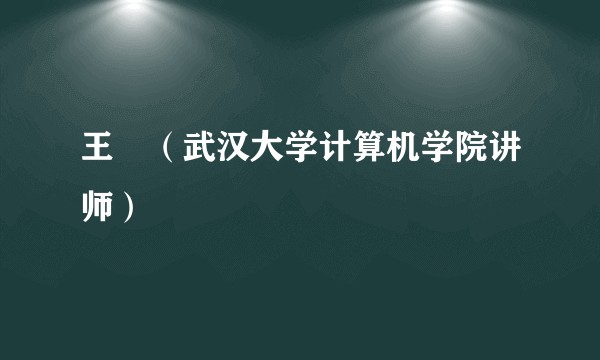 王翀(武汉大学计算机学院讲师)