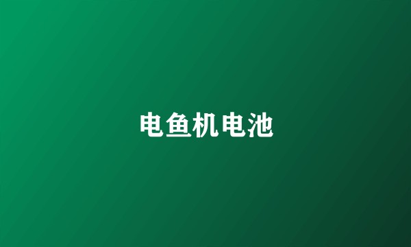 电鱼机电池