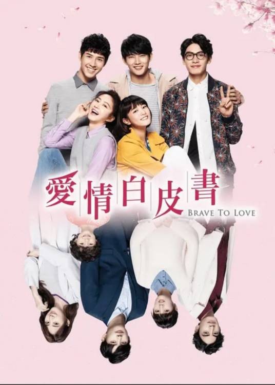 爱情白皮书(台湾2019年李芸婵、林君阳执导的爱情偶像剧)