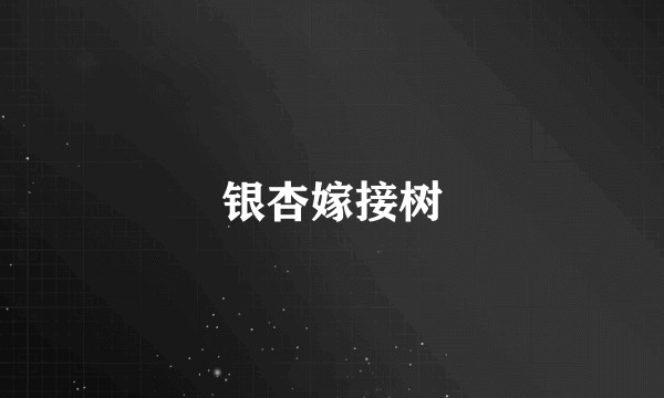 银杏嫁接树