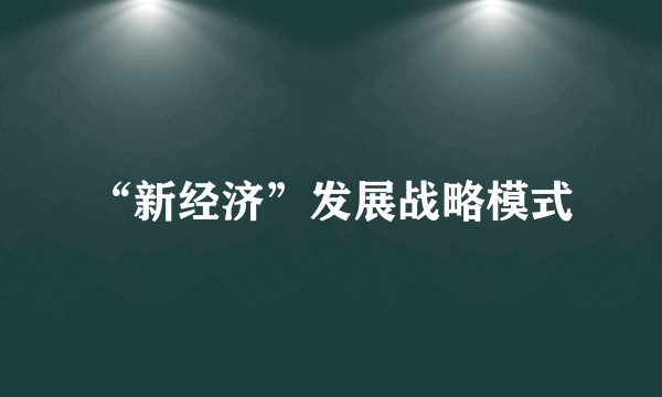 “新经济”发展战略模式