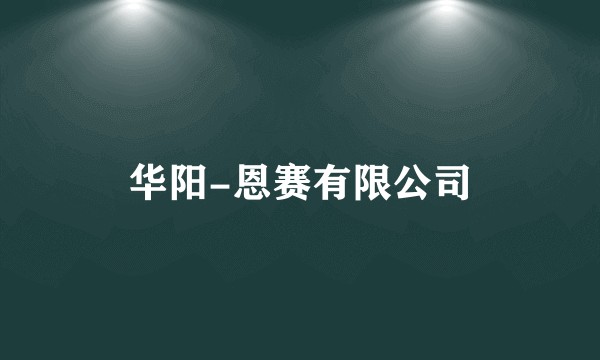 华阳-恩赛有限公司