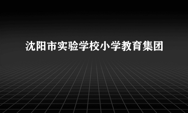 沈阳市实验学校小学教育集团