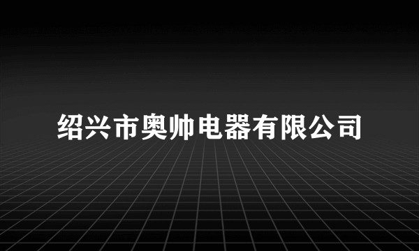 绍兴市奥帅电器有限公司