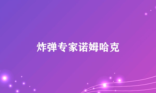 炸弹专家诺姆哈克