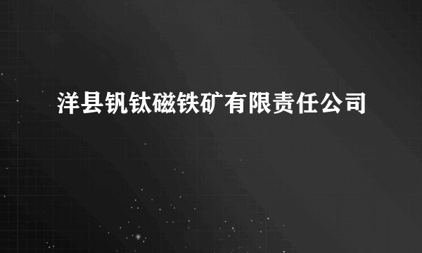 洋县钒钛磁铁矿有限责任公司