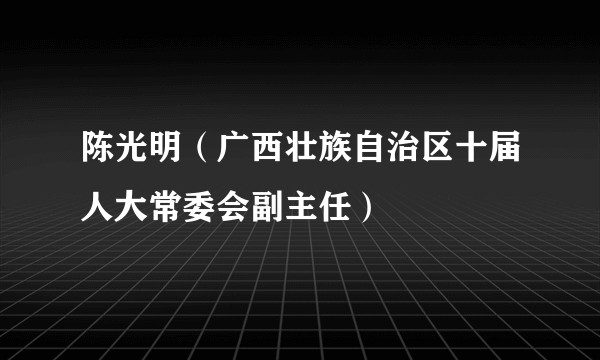 陈光明（广西壮族自治区十届人大常委会副主任）