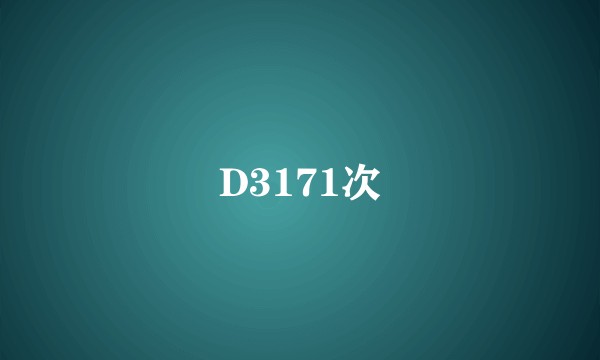D3171次