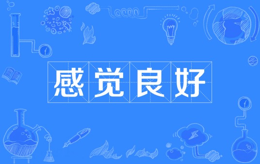 感觉良好（网络热词）