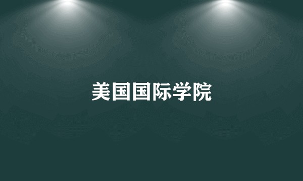 美国国际学院